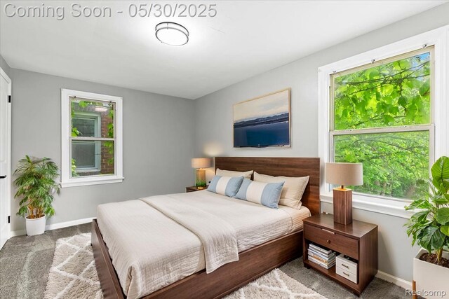 11000 Whitehill St, Grosse Pointe, MI 48224 - carpeted bedroom with baseboards