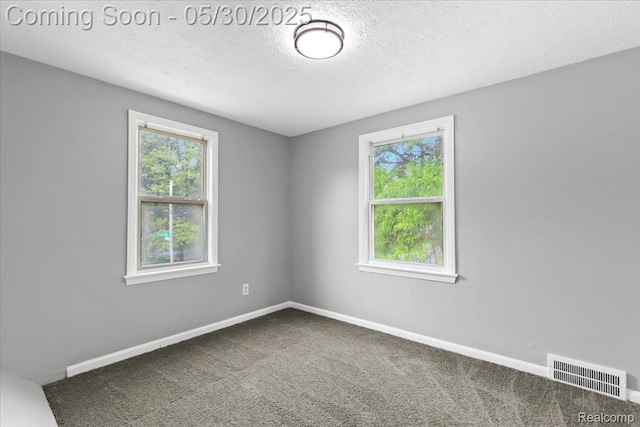 11000 Whitehill St, Grosse Pointe, MI 48224 - carpeted spare room featuring baseboards and a textured ceiling