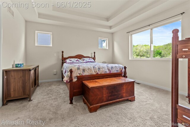 305 Beaver Run, Holly, MI 48442 - bedroom featuring light colored carpet, a raised ceiling, and baseboards