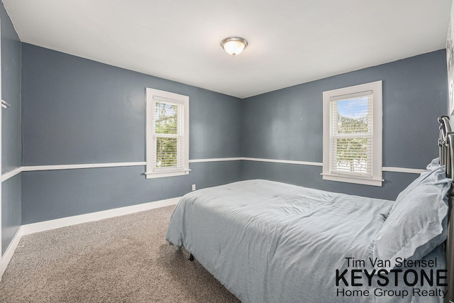 258 Ann St NE, Grand Rapids, MI 49505 - bedroom with baseboards and carpet floors