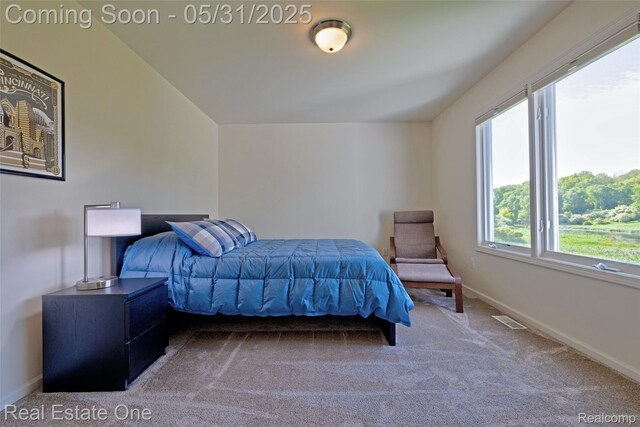 1572 S Hadley Rd, Ortonville, MI 48462 - bedroom featuring carpet flooring and baseboards