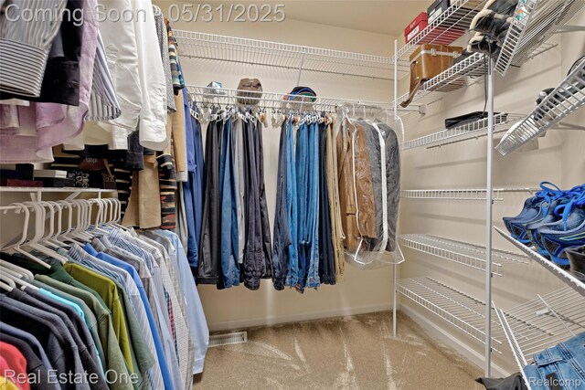 1572 S Hadley Rd, Ortonville, MI 48462 - walk in closet featuring carpet