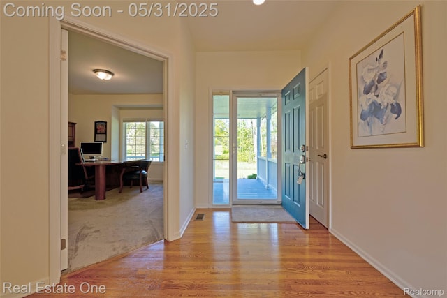 1572 S Hadley Rd, Ortonville, MI 48462 - entrance foyer featuring light wood-type flooring, baseboards, and light carpet