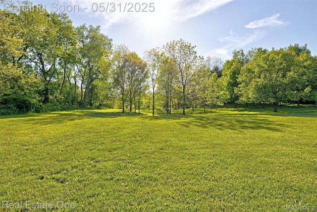 1572 S Hadley Rd, Ortonville, MI 48462 - view of grassy yard
