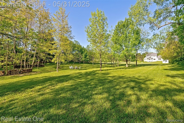1572 S Hadley Rd, Ortonville, MI 48462 - view of grassy yard