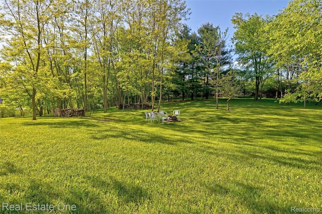 1572 S Hadley Rd, Ortonville, MI 48462 - view of grassy yard