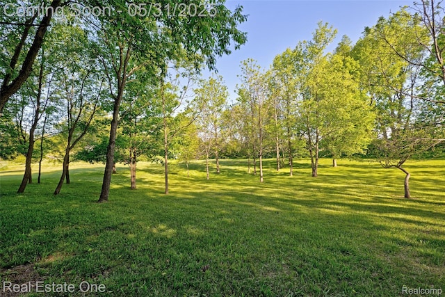 1572 S Hadley Rd, Ortonville, MI 48462 - view of grassy yard