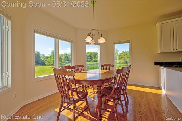 1572 S Hadley Rd, Ortonville, MI 48462 - dining room with healthy amount of natural light and light wood-style flooring