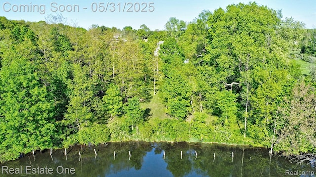 1572 S Hadley Rd, Ortonville, MI 48462 - drone / aerial view of a heavily wooded area and a large body of water