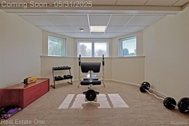 1572 S Hadley Rd, Ortonville, MI 48462 - workout area with carpet flooring, a drop ceiling, and baseboards