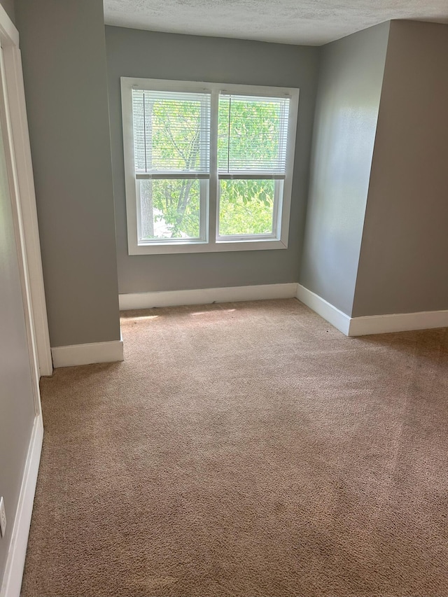 94 E Burnham St, Battle Creek, MI 49015 - spare room featuring carpet flooring, baseboards, and a textured ceiling