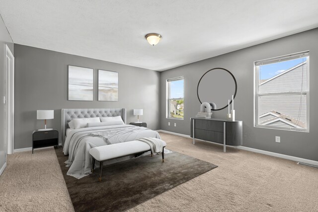 10126 Castle Creek Cir, Galesburg, MI 49053 - carpeted bedroom featuring multiple windows and baseboards