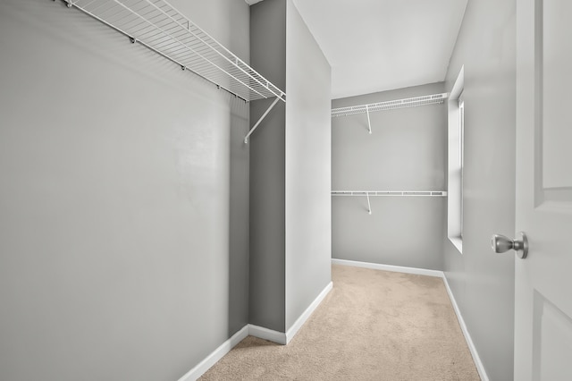 10126 Castle Creek Cir, Galesburg, MI 49053 - spacious closet featuring carpet