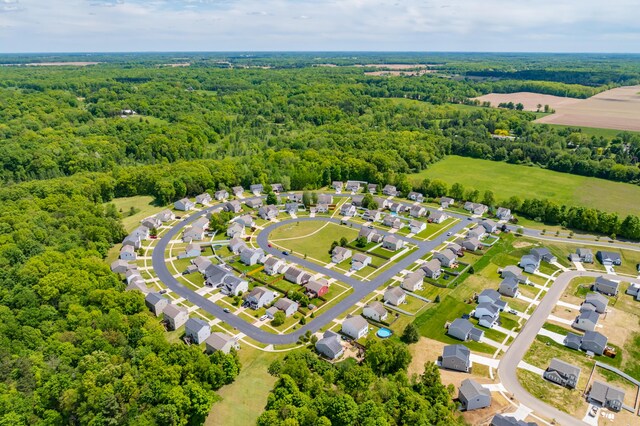 10126 Castle Creek Cir, Galesburg, MI 49053 - bird's eye view of a forest