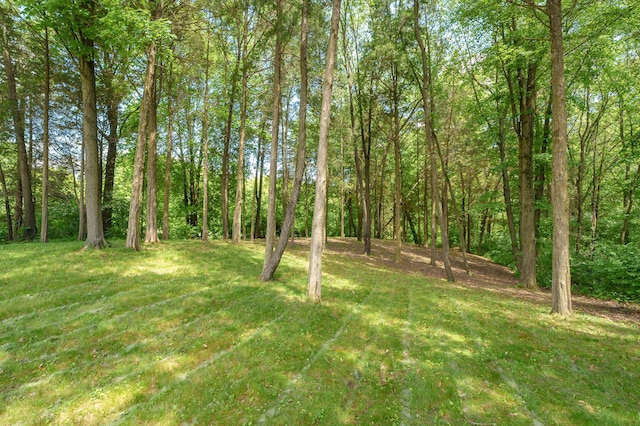 10126 Castle Creek Cir, Galesburg, MI 49053 - view of grassy yard featuring a view of trees