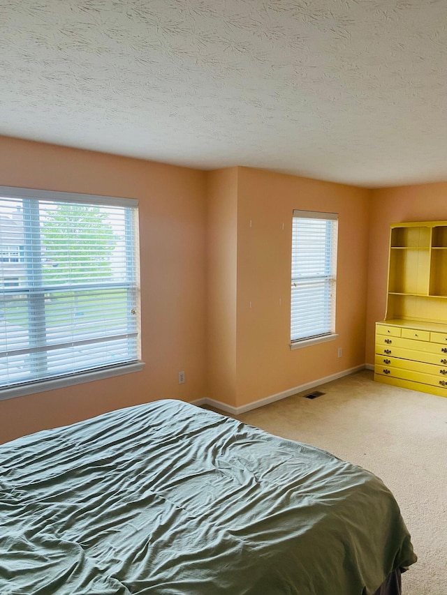 8287 Falkirk Dr, Indiana, IN 46123 - bedroom featuring multiple windows, carpet flooring, baseboards, and a textured ceiling