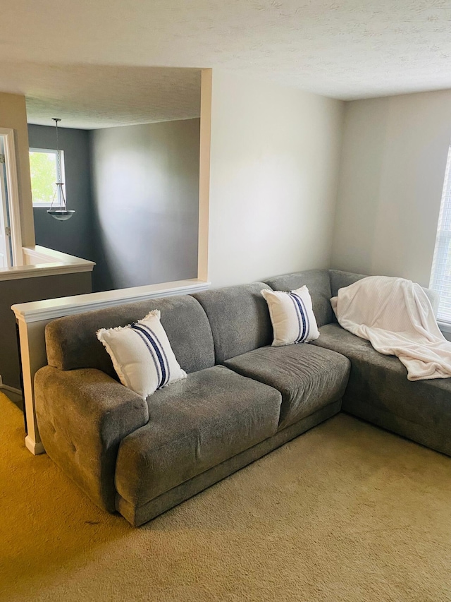 8287 Falkirk Dr, Indiana, IN 46123 - view of carpeted living room