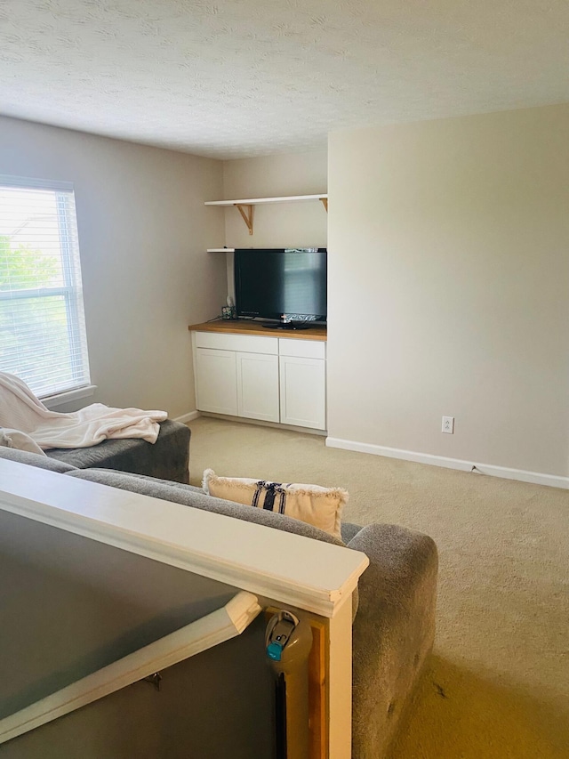 8287 Falkirk Dr, Indiana, IN 46123 - living area with light carpet and baseboards