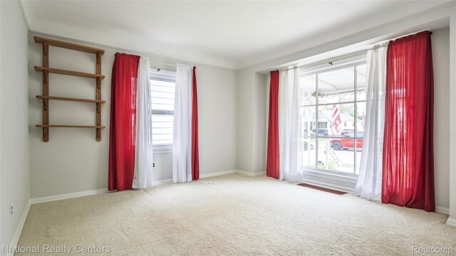 3446 17th St, Wyandotte, MI 48192 - spare room with plenty of natural light, carpet floors, and baseboards