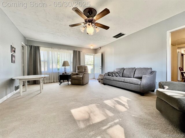 1865 Range Rd, Kimball, MI 48074 - living area featuring ceiling fan, carpet floors, and a textured ceiling