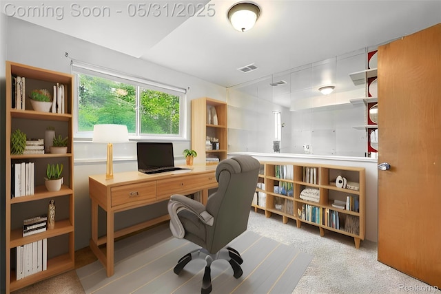 14846 Lakewood Dr, Plymouth, MI 48170 - office with carpet flooring