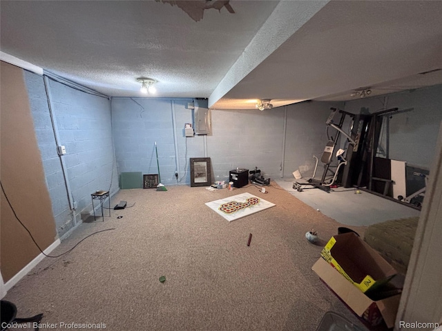 5550 25 Mile Rd, Shelby Twp, MI 48316 - finished below grade area featuring a textured ceiling, concrete block wall, and electric panel