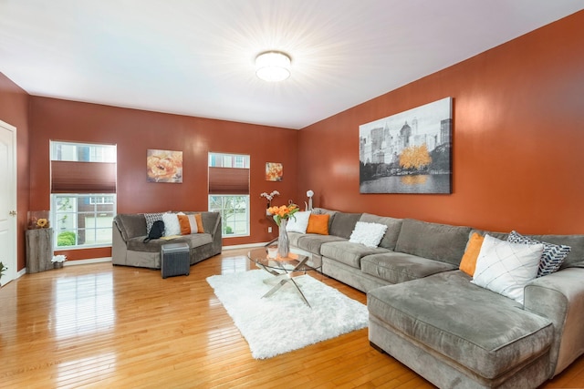 36438 Dominion Cir, Sterling Heights, MI 48310 - living room with plenty of natural light, light wood-style floors, and baseboards