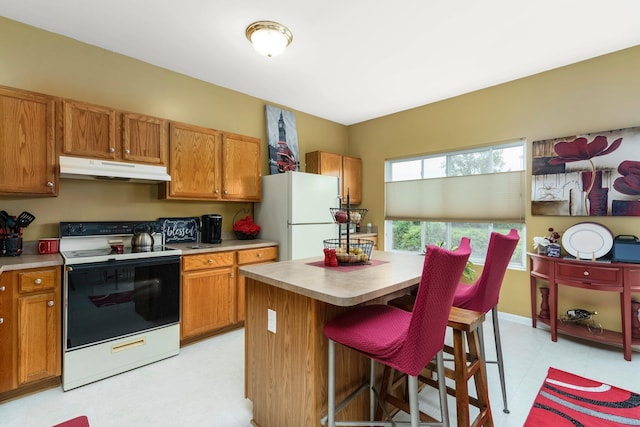 36438 Dominion Cir, Sterling Heights, MI 48310 - kitchen featuring range with electric stovetop, under cabinet range hood, freestanding refrigerator, brown cabinetry, and light countertops