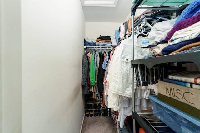36438 Dominion Cir, Sterling Heights, MI 48310 - spacious closet featuring carpet