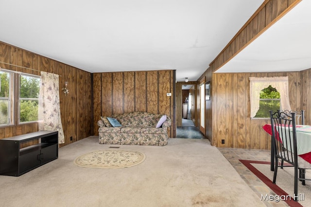 3570 109th Ave, Allegan, MI 49010 - carpeted living area with plenty of natural light and wooden walls