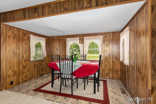 3570 109th Ave, Allegan, MI 49010 - dining space featuring wood walls and light stone finish floors