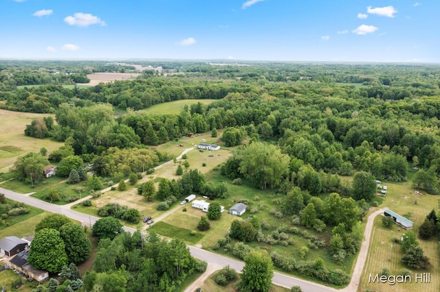 3570 109th Ave, Allegan, MI 49010 - bird's eye view of a forest