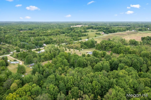 3570 109th Ave, Allegan, MI 49010 - bird's eye view of a heavily wooded area