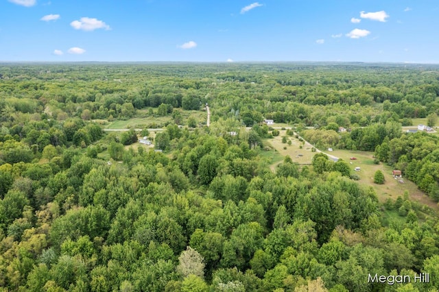 3570 109th Ave, Allegan, MI 49010 - drone / aerial view of a heavily wooded area