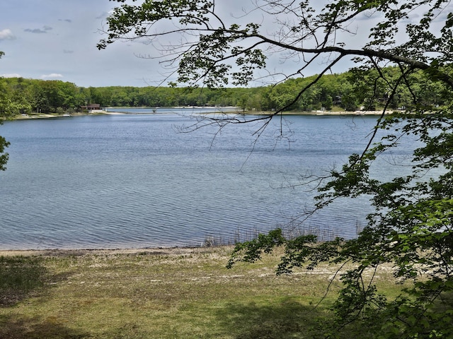 8862 W Rainbow Lake Dr, Baldwin, MI 49304 - water view featuring a heavily wooded area