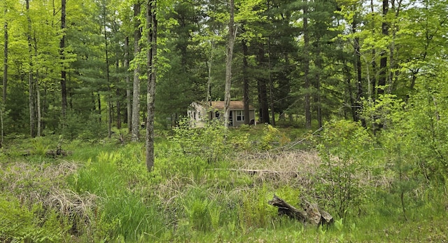 1385 W Channel St, Bitely, MI 49309 - view of tree filled area