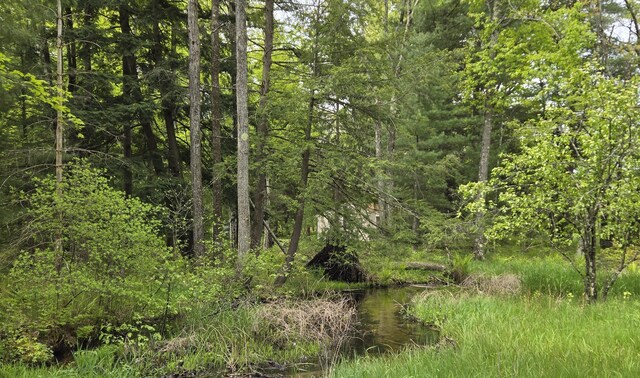 1385 W Channel St, Bitely, MI 49309 - view of wooded area