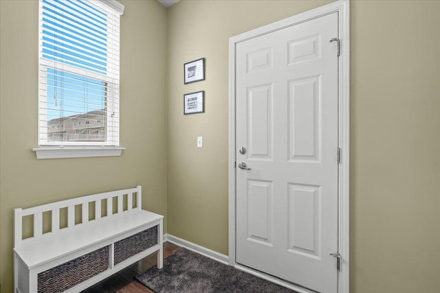 310 Fletcher St, Wixom, MI 48393 - entryway featuring radiator heating unit, baseboards, and wood finished floors