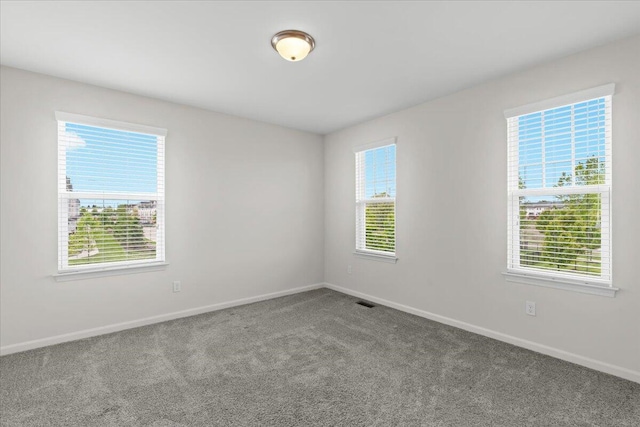310 Fletcher St, Wixom, MI 48393 - spare room featuring carpet floors and baseboards