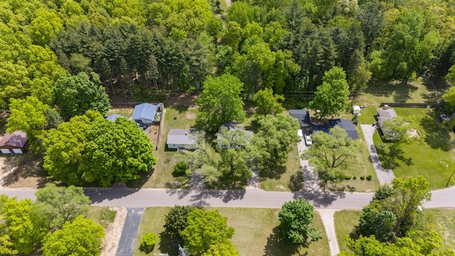 6185 N Shore Dr, Coloma, MI 49038 - bird's eye view