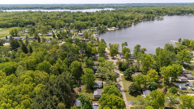 6185 N Shore Dr, Coloma, MI 49038 - aerial view of residential area featuring a forest and a large body of water