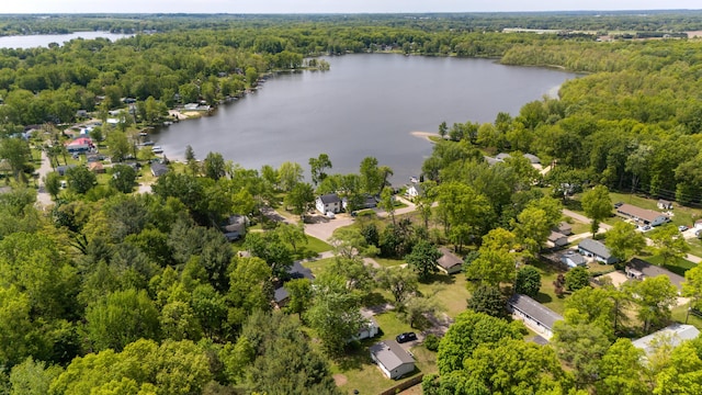 6185 N Shore Dr, Coloma, MI 49038 - aerial perspective of suburban area with a nearby body of water and a forest