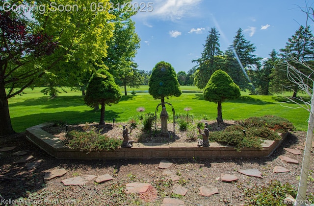 72755 Solanus Dr, Bruce, MI 48065 - surrounding community with a lawn