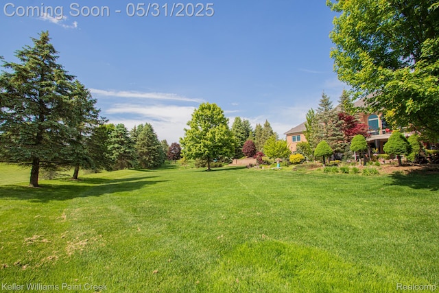 72755 Solanus Dr, Bruce, MI 48065 - view of green lawn