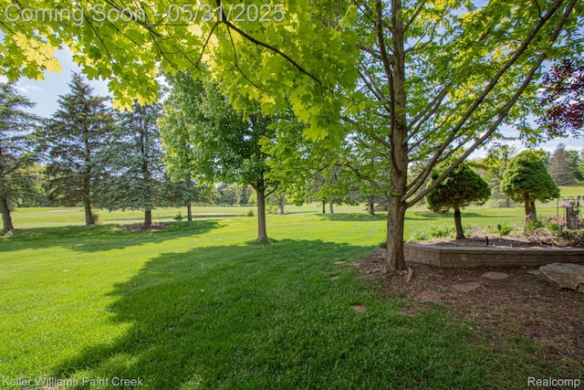 72755 Solanus Dr, Bruce, MI 48065 - view of green lawn
