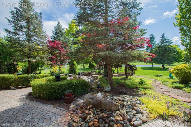72755 Solanus Dr, Bruce, MI 48065 - view of green lawn