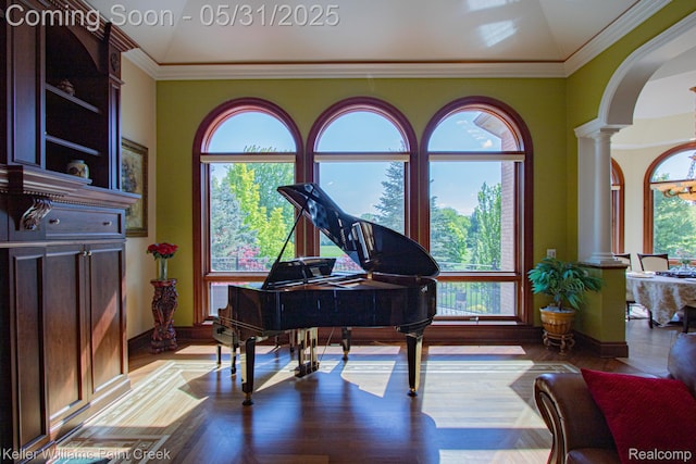 72755 Solanus Dr, Bruce, MI 48065 - sitting room with ornate columns, arched walkways, plenty of natural light, baseboards, and ornamental molding