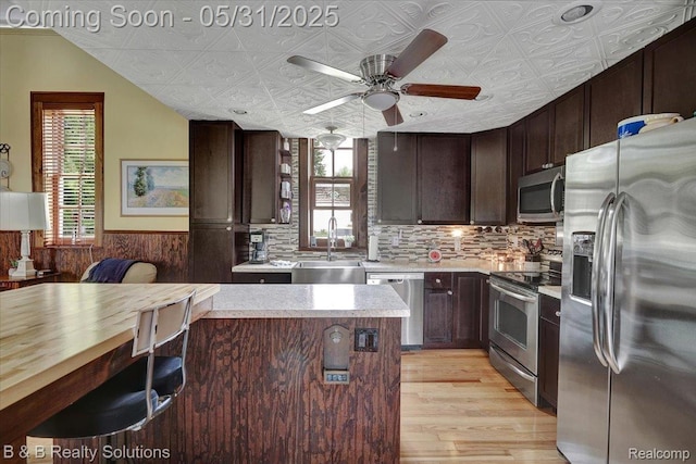 6624 Jefferson Rd, North Branch, MI 48461 - kitchen with stainless steel appliances, light wood-style flooring, a sink, wainscoting, and ceiling fan