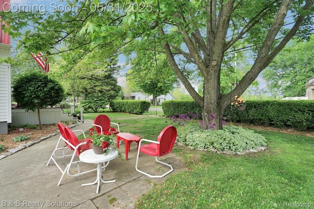 6624 Jefferson Rd, North Branch, MI 48461 - view of yard with a patio area