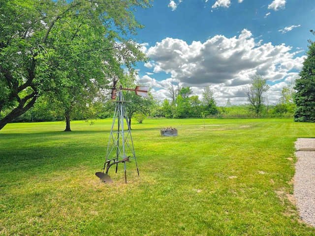 10040 S Reese Rd, Birch Run, MI 48415 - view of grassy yard featuring view of scattered trees